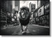 Glossy Painted Framed Canvas - King Of The City - Dark Gray