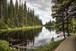 Peaceful River View By Piddix - Green