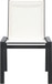 Nizuc - Outdoor Patio Dining Chair With Gray Frame (Set of 2)
