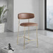 Lupita - Counter Stool With Brushed Gold Frame (Set of 2)