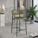 Lupita - Counter Stool (Set of 2)