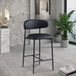Lupita - Counter Stool (Set of 2)