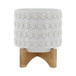 Ceramic Planter On Wooden Stand 8" - Ivory