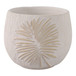 6" Pampas On Rounded Planter - Ivory