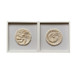 Atlantic Shell Shadowbox Art (Set of 2) - Ivory