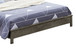 Bed With Transitional Design Stylish