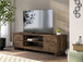 Zadilyn - TV Stand With Fireplace Option