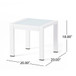 Cape Coral - Contemporary Side Table With Frosted Glass Top