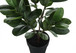 28" Tall, Artificial Plant, Garcinia Tree, Indoor, Faux, Fake, Floor, Greenery, Potted, Real Touch, Decorative - Green / Black
