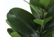 28" Tall, Artificial Plant, Garcinia Tree, Indoor, Faux, Fake, Floor, Greenery, Potted, Real Touch, Decorative - Green / Black