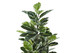 52" Tall, Artificial Plant, Rubber Tree, Indoor, Fake, Floor, Greenery, Potted, Real Touch, Decorative - Green / Black
