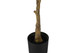 52" Tall, Artificial Plant, Rubber Tree, Indoor, Fake, Floor, Greenery, Potted, Real Touch, Decorative - Green / Black