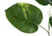 54" Tall, Artificial Plant, Dieffenbachia Tree, Indoor, Faux, Fake, Floor, Greenery, Potted, Real Touch, Decorative - Green / Black
