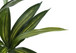 51" Tall, Artificial Plant, Dracaena Tree, Indoor, Faux, Fake, Floor, Greenery, Potted, Real Touch, Decorative - Green / Black