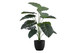 24" Tall, Artificial Plant, Alocasia, Indoor, Faux, Fake, Table, Greenery, Potted, Real Touch, Decorative - Green / Black