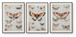 Jossletts - Orange / Black / Ivory - Wall Art Set (Set of 3)