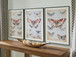 Jossletts - Orange / Black / Ivory - Wall Art Set (Set of 3)