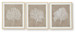 Hendridge - Taupe / White - Wall Art Set (Set of 3)