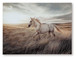 Errolville - Multi - Wall Art