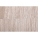 Willet - Canvas Art - Gray