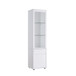 Modern Wine Showcasing Cabinet With Two Glass Shelves And Storage Cabinet