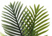 28" Tall, Artificial Plant, Palm Tree, Indoor, Faux, Fake, Floor, Greenery, Potted, Real Touch, Decorative - Green / White