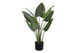 37" Tall, Artificial Plant, Aureum Tree, Indoor, Faux, Fake, Floor, Greenery, Potted, Real Touch, Decorative - Green / Black