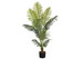 57" Tall, Artificial Plant, Palm Tree, Indoor, Faux, Fake, Floor, Greenery, Potted, Real Touch, Decorative - Green / Black
