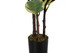 47" Tall, Artificial Plant, Oak Tree, Indoor, Faux, Fake, Floor, Greenery, Potted, Real Touch, Decorative - Green / Black