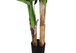 55" Tall, Artificial Plant, Banana Tree, Indoor, Faux, Fake, Floor, Greenery, Potted, Real Touch, Decorative - Green / Black