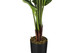 59" Tall, Artificial Plant, Strelitzia Tree, Indoor, Faux, Fake, Floor, Greenery, Potted, Real Touch, Decorative - Green / Black