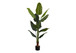 59" Tall, Artificial Plant, Strelitzia Tree, Indoor, Faux, Fake, Floor, Greenery, Potted, Real Touch, Decorative - Green / Black