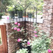 Metal Garden Rustproof Trellis For Climbing Plants Outdoor Flower Support