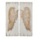 Feather Wing Wall Panels With Distressed, Rectangle Hanging Wall Art (Set of 2) - Multicolor