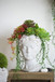 Greek Style Cement Head Planter Indoor Outdoor Home, Garden Decor - Gray