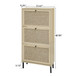 Modern Rattan 3 Door Shoe Rack Cabinet For Entryway