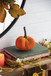 Velvet Weighted Pumpkin With Resin Stem, Pumpkin Ornament Decor For Holiday Harvest Festival Fall Festival & Thanksgiving (Set of 4)
