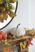 Chenille Weighted Pumpkin Ornament Decor For Holiday Harvest Festival Fall Festival & Thanksgiving