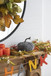 Chenille Weighted Pumpkin Ornament Decor For Holiday Harvest Festival Fall Festival & Thanksgiving