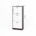 Modern Freestanding Shoe Storage Cabinet With 3 Flip Drawers