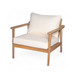 Modern Outdoor Lounge Chair With Cushions