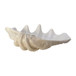 Pearlized Clam Shell Bowl - Ivory