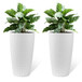 Tall Planters Set With Water Level Monitor And Auto Watering