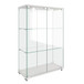 Modern Display Cabinet With LED Lights, Transparent Tempered Glass 2 Door Storage Case With 3 Shelves