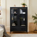 Modern Style Tall Display Cabinet With LED Lighting, Tempered Glass Door, 2 Drawers