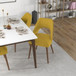 Juliana - Mid-Century Modern Dining Chair (Set of 2) - Brown / Yellow