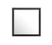 Modern Design Transitional Wall Mirror - Black