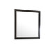 Modern Design Transitional Wall Mirror - Black