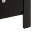 Modern Elegant Transitional Storage Chest - Black