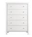 Modern Elegant Transitional Storage Chest - White